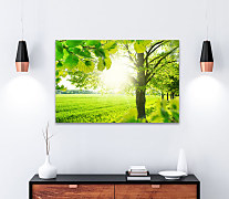 Obraz Zelený háj 1601